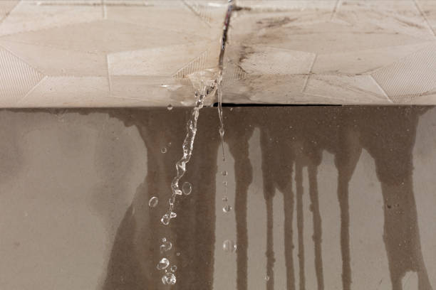 Professional Structural Drying technician working in Fielding, UT